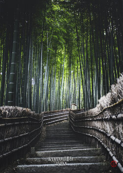 Japan - Beauty Around the World
