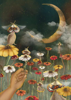 Fantasy
