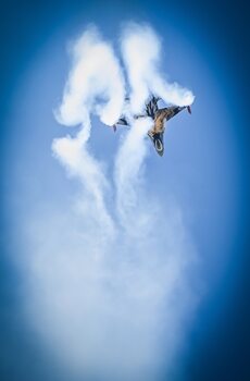 RIAT22