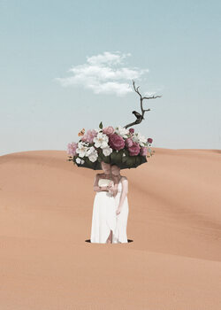 collages and daydreams