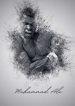 Boxer