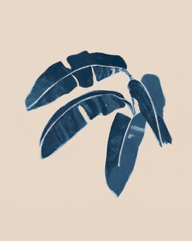 Palms