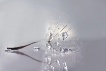 Juliste Silver