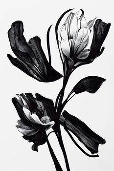 Poster Black Flower
