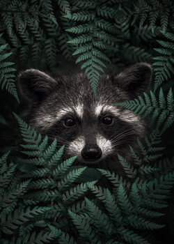 Surreal Animals