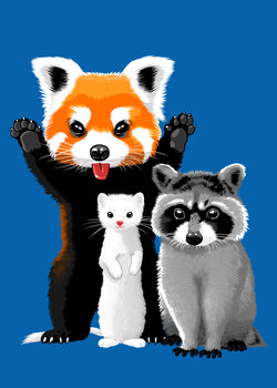 Animals