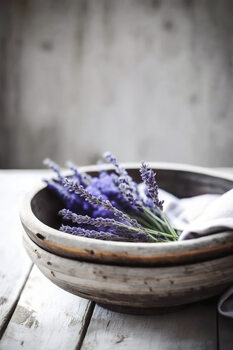 Poster Lavender In Bowl