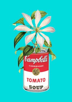 Poster Floral Campbells