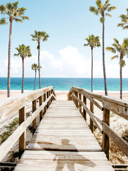 Beach & Ocean