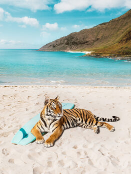 Tiger's Beach
