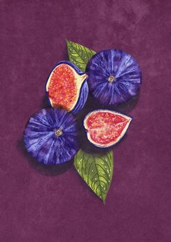 Plakat Figs Stil Life