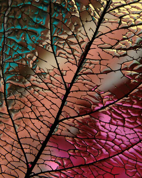 Juliste Glass Leaf