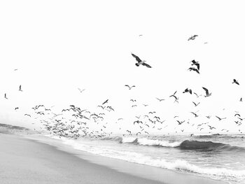 Black And White