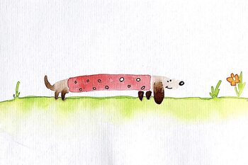 Watercolor illustrations