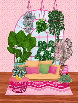 Colorful Plants