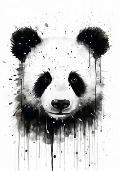 Cool Animals