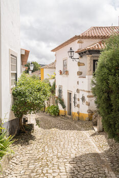 Portugese Bliss