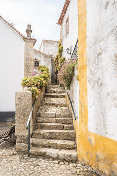 Portugese Bliss