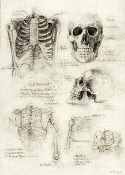 Old Sketches