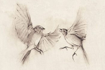 Old Sketches