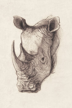 Old Sketches