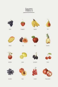 Poster Fruits - English