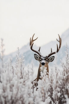 Poster Curious Deer