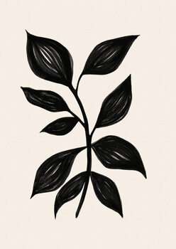 Botany
