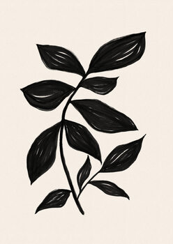 Botany