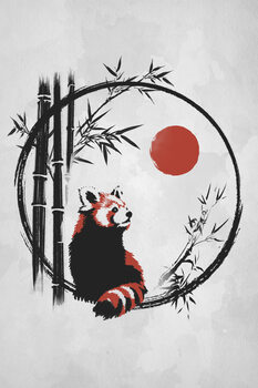 Animals and Nature