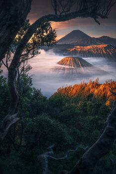 Poster First glimpses of Mount Bromo