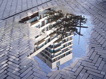 Reflections