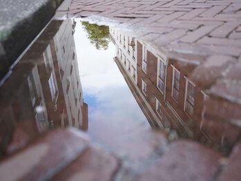 Reflections