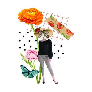 collage