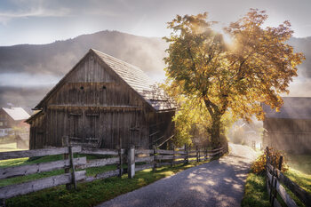 Autumn