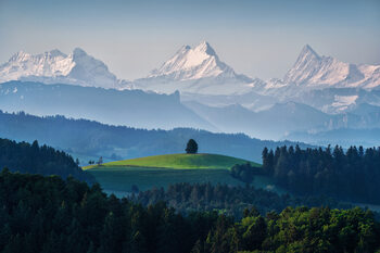 Mountains