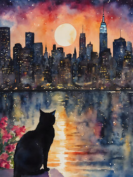 The Black Cat Series