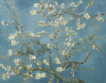 Poster Almond Blossoms