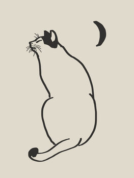 Poster Line Art Cat Drawing