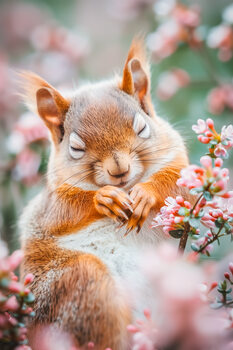 Funny Animals