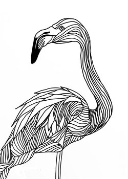 Poster Lines art Flamingo