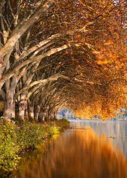Nature photos