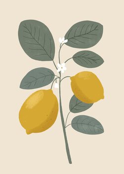 Poster Lemon flower