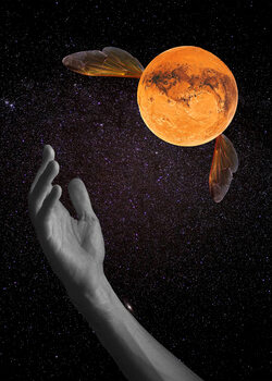 Collage