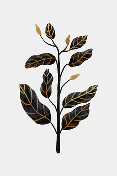 Botanical