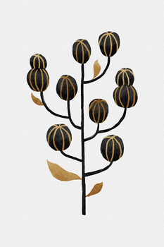 Botanical