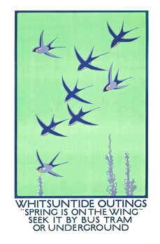 Travel Poster