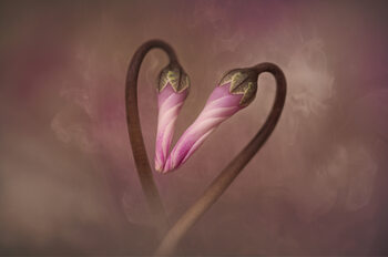 Floral art