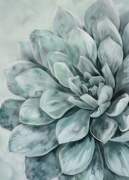 Botanical