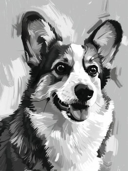 Illustrations